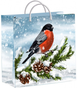 Сумка мягкий пластик 30*30 "Снегирек" (Тико) (40)